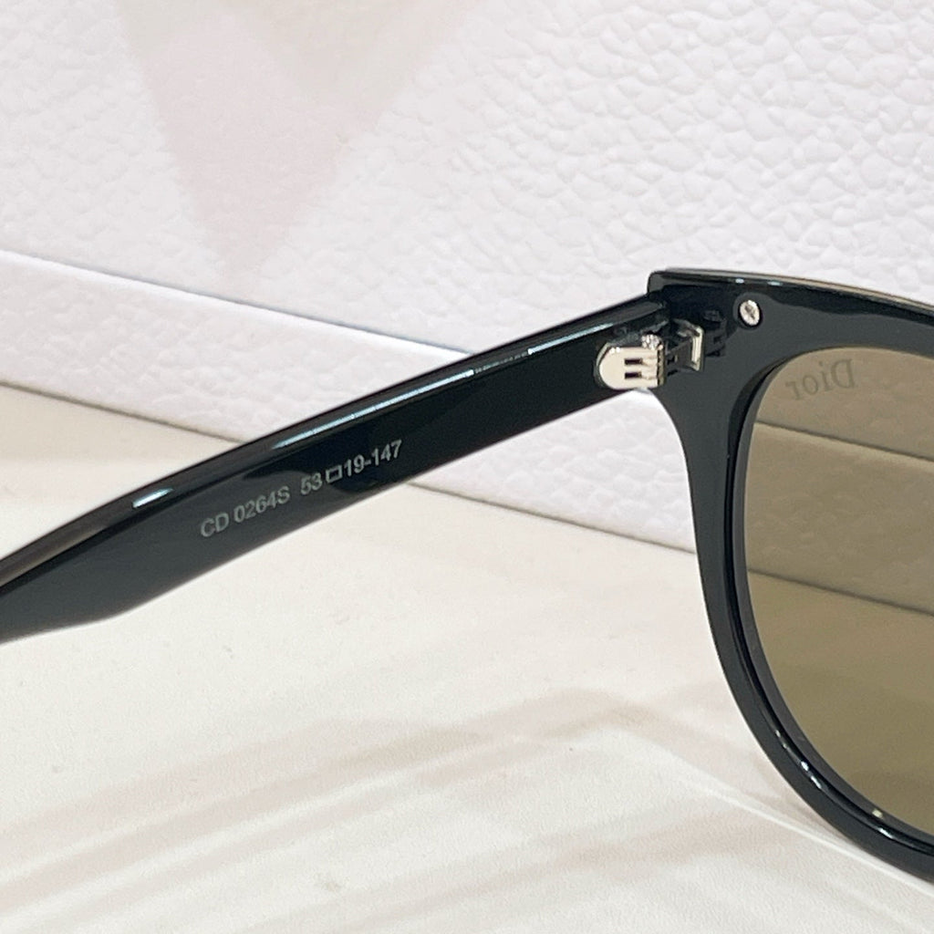 DIOR Sunglasses-CD0264S